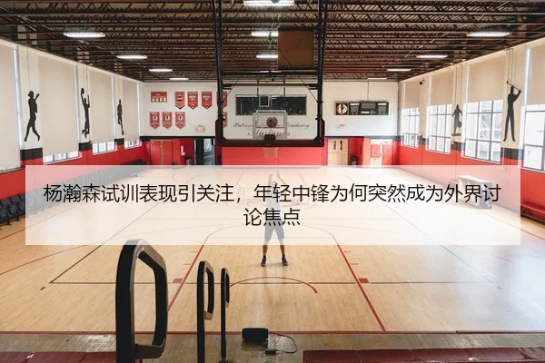杨瀚森试训表现引关注，年轻中锋为何突然成为外界讨论焦点
